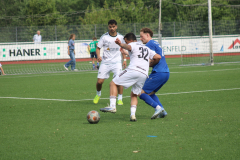 FSV-LWL-29
