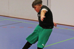 Inklu-46